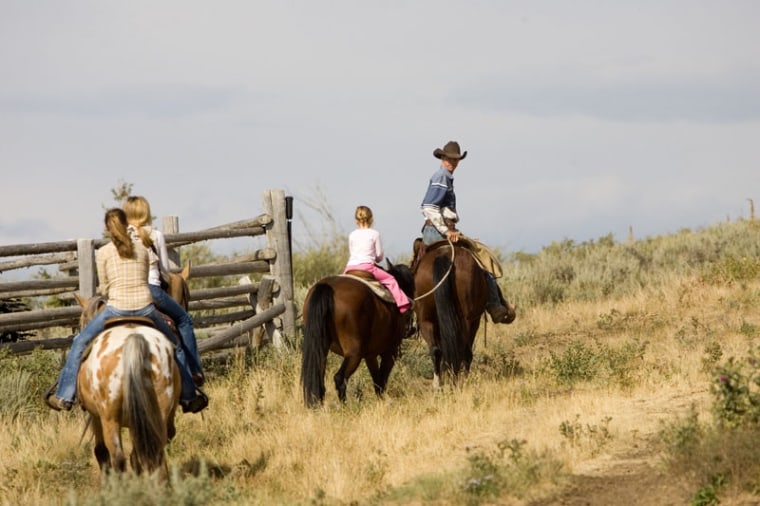 Spring Creek Ranch is located near Yellowstone National Park, and the resort offers wildlife safaris, of the buffalo and coyote variety, in addition to typical ranch activities like horseback riding and fishing.